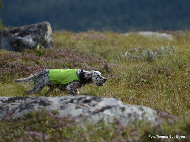 Hovedbilde Oppfriskning for tidligere deltakere 